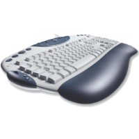 Logitech Internet Navigator PS2/USB keyboard