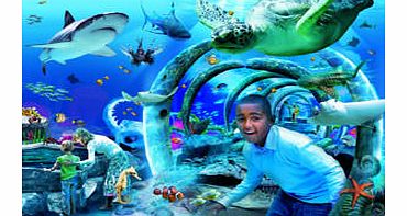 Aquarium SEA LIFE Centre Priority Tickets