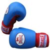 LONSDALE Blue Safe Spar Glove (L4)