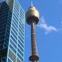 Lunch at Sydney Tower ATS Pacific Sydney Lunch at Sydney Tower