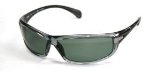 Ray Ban Sunglasses RB 4054 Grey Black Temple(oz)