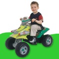 turtles quad bike