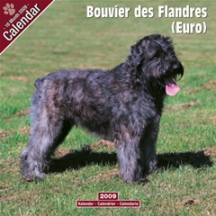 Bouvier des Flandres Wall Calendar: 2009