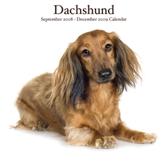 Dachshunds Wall Calendar: 2009