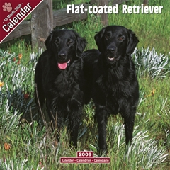 Flatcoated Retriever Wall Calendar: 2009