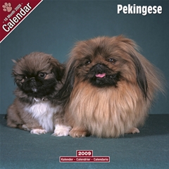 Pekingese Wall Calendar: 2009