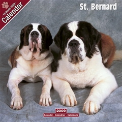 St Bernard Wall Calendar: 2009