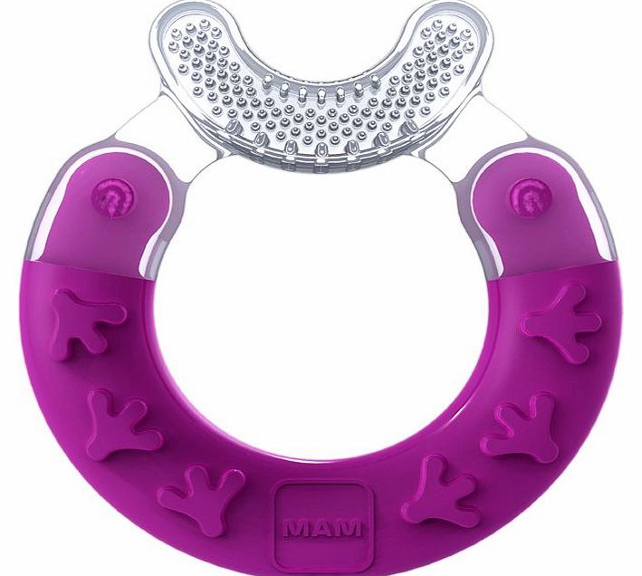 Bite  Brush Teether Pink