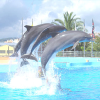 Marineland Cataluna Marineland Catalunya