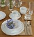 12-Piece Maxim Coupe Dinner Set