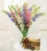 Larkspur Bundle