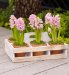 Hyacinth Planter Crate