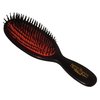 Handy Size  Bristle Brush - Dark