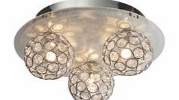 Chameleon Ceiling Light