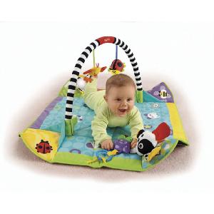 Fisher Price Fold N Go Gym