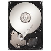 Maxtor 1TB ( 1000GB ) SATA II 300 32MB cache 7200rpm Hard Disk Drive STM31000340AS