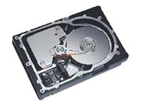 Maxtor Atlas 18Gb 15-000RPM 3.5 HDD