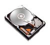 MAXTOR DiamondMax 10 - 160 GB - 7200 RPM - 8 MB - SATA II (bulk version)