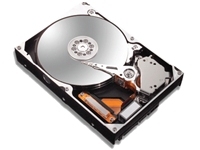 Maxtor DiamondMax 10 80Gb 7200RPM Internal Ide HDD