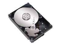 Maxtor DiamondMax 20 - hard drive - 160 GB - ATA-100