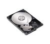 MAXTOR DiamondMax 21 - 250 GB - 7200 RPM - 8 MB -