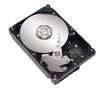 MAXTOR DiamondMax 21 - 320 GB - 7200 RPM - 8 MB - SATA