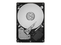 Maxtor DiamondMax 22 - hard drive - 750 GB - SATA-300