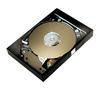 MAXTOR DiamondMax Plus 8 40 GB - 7200RPM - 2 MB UDMA133 Hard Drive (bulk version)