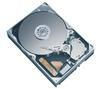 MAXTOR Hard Drive MaXLine II 250GB - 5400RPM - 2 MB (bulk version)