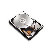 Maxtor MaXLine III 250GB Hard Disk Drive 7200rpm