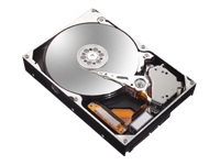 Maxtor MaxLine III 300GB 7200rpm SATA150 8mb Cache - OEM