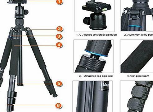 CameraPlus - COMAN TK256 Tripod + CV-0 Ballhead SET - light weight 1.49KG- Professional Magnesium Tripod SET Gen Benro A1682BH0 - Max Load 8KG, Folded 440mm, Max Height 1590mm, With a quick- released 