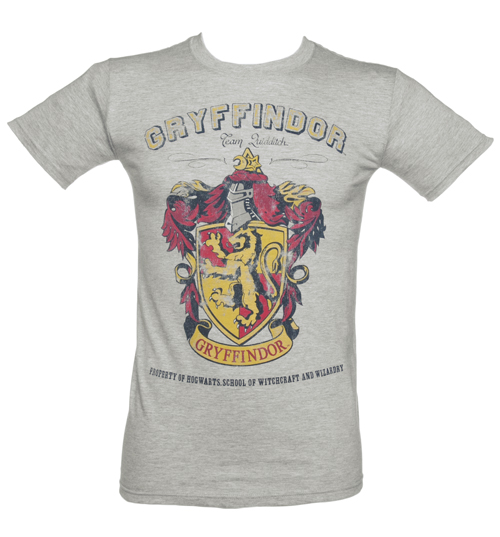 Grey Harry Potter Gryffindor Team