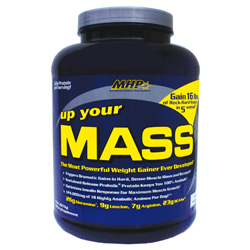 Up Your Mass - Chocolate Fudge 2267g