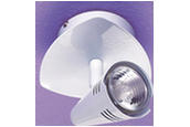 30702 / Astron GU10 Mains Voltage Single Spotlight