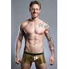 Modus Vivendi Metallic Boxer Brief