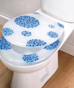 Toilet Seat