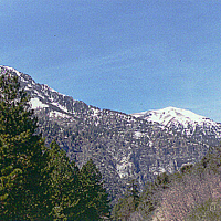 Mount Charleston Pink Jeep Tours - Mount Charleston