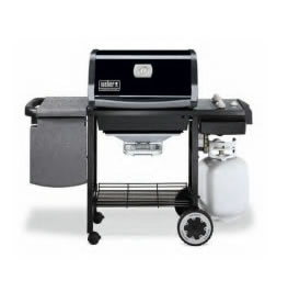 n/a Weber Genesis silver A open cart