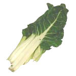 Nadia Bouton Swiss Chard