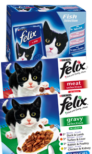 Felix Pouches Adult 100g x 12