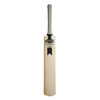 NEWBERY Zeus Players Cricket Bat