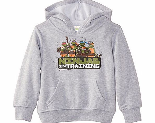 Nickelodeon Boys Teenage Ninja Mutant Hero Turtles NH1208 Sweatshirt, Light Grey Melange, 4 Years