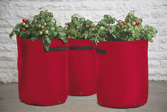 Tomato Patio Planter pack of 3