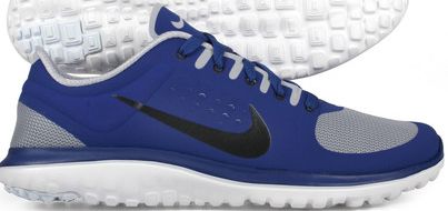 Nike FS Lite Running Shoes Wolf Grey/Royal