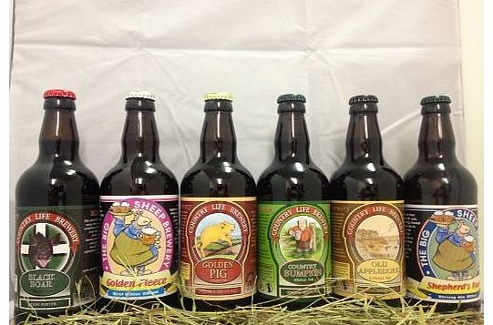 North Devon Ale ENGLISH REAL ALE MIX CASE FROM NORTH DEVON