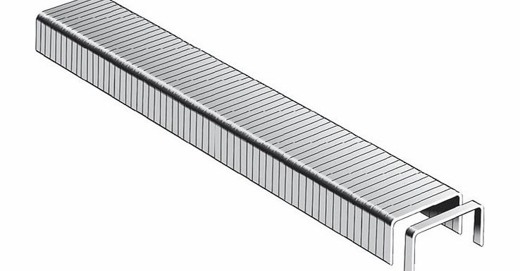 Type 11 11/6 Flat Wire Staple 10.6mm 6mm