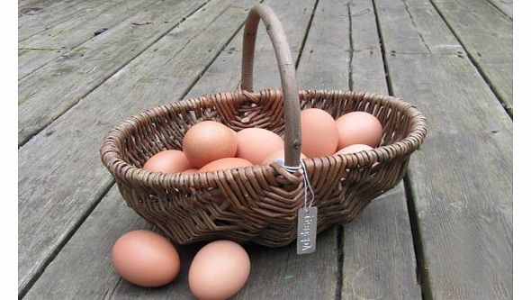 Small Rustic Willow Vegetable Trug Basket