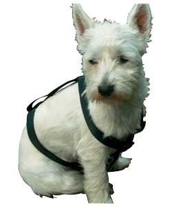 Dog Harness Large - Black