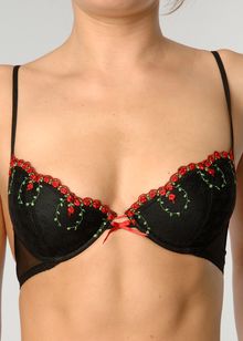 Occhi Verdi by La Perla My Rose padded plunge bra